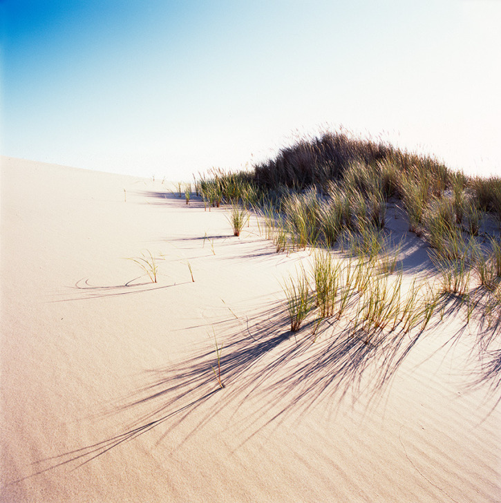 hot dune with grass.jpg