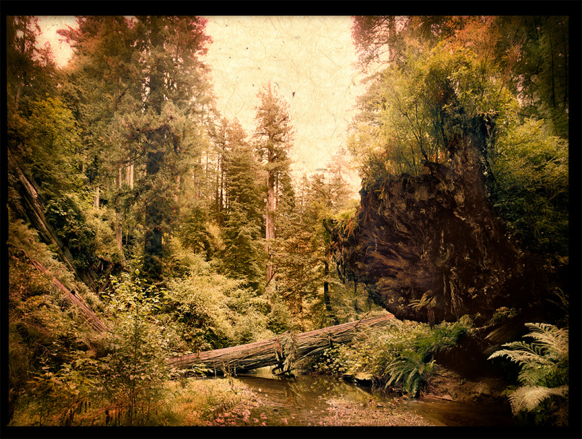 RedwoodRootws8bitAntique.jpg